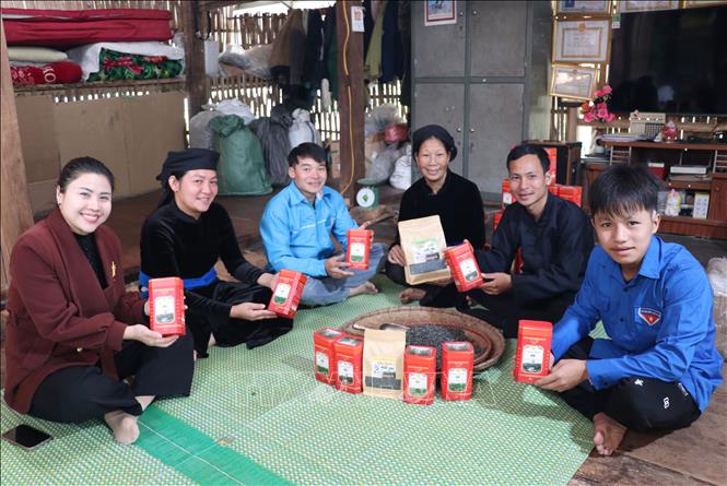 Chàng trai người Tày chia sẻ kinh nghiệm của mình về chè với người dân và đoàn viên thanh niên. Ảnh: Đức Thọ - TTXVN.