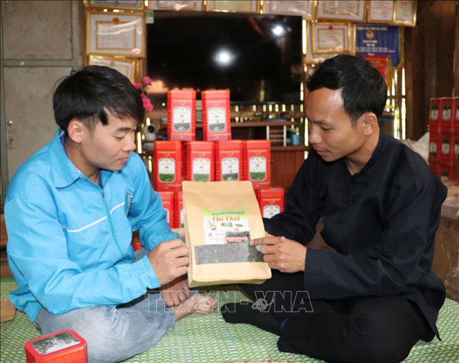 Chàng trai người Tày chia sẻ kinh nghiệm của mình về chè với người dân và đoàn viên thanh niên. Ảnh: Đức Thọ - TTXVN.