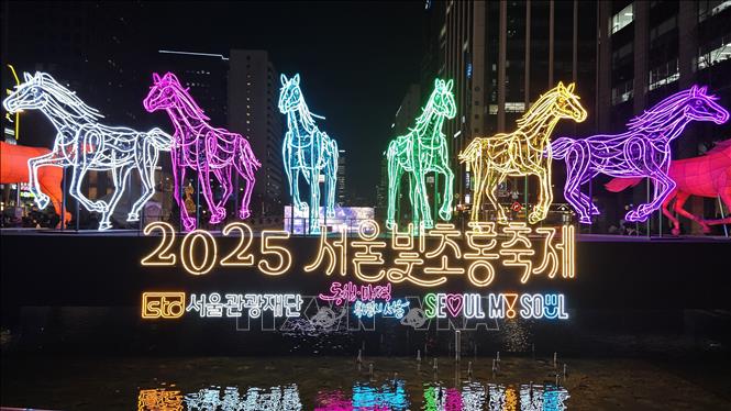 Cổng vào Lễ hội đèn lồng Seoul 2025.Ảnh: Đức Thắng (P/v TTXVN tại Hàn Quốc) 
