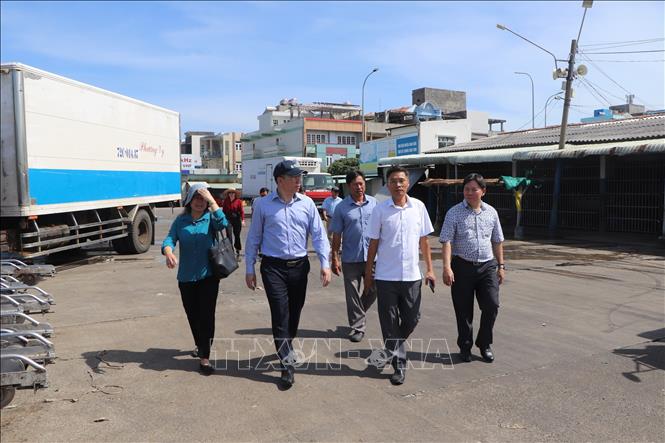 Phó Chủ tịch UBND TP. Hồ Chí Minh Hoàng Nguyên Dinh kiểm tra, khảo sát tại tại cảng cá Tân Phước, xã Long Hải. Ảnh: Hoàng Nhị - TTXVN.
