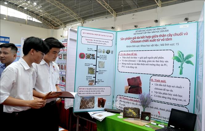 Các thí sinh chuẩn bị dự án tham dự vòng chung khảo Cuộc thi Khoa học, Kỹ thuật cấp tỉnh dành cho học sinh trung học tỉnh Vĩnh Long năm học 2025–2026 . Ảnh: Lê Thúy Hằng – TTXVN. 