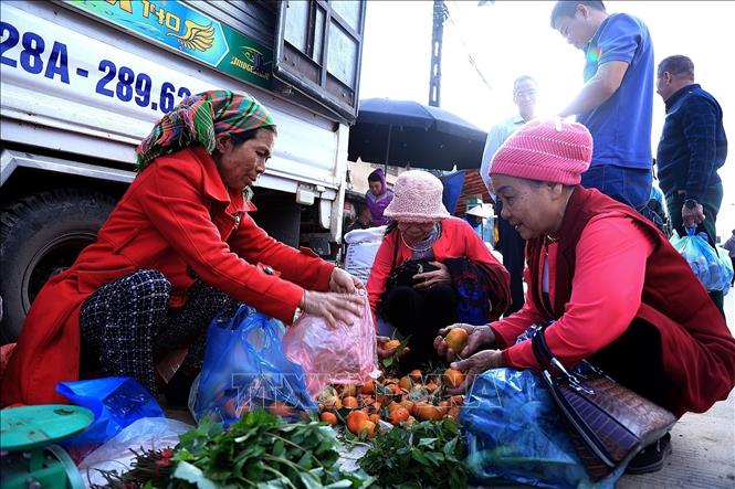 Nam Son mandarins, a local specialty, are sold at Lung Van Market in Van Son Commune. Photo: Thanh Hai – VNA