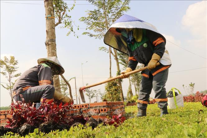Người lao động trồng cây xanh trên tuyến giao thông kết nối sân bay Long Thành. Ảnh: Công Phong - TTXVN