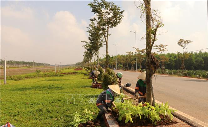 Cây xanh, thảm cỏ đã được trồng trên tuyến giao thông kết nối sân bay Long Thành. Ảnh: Công Phong - TTXVN