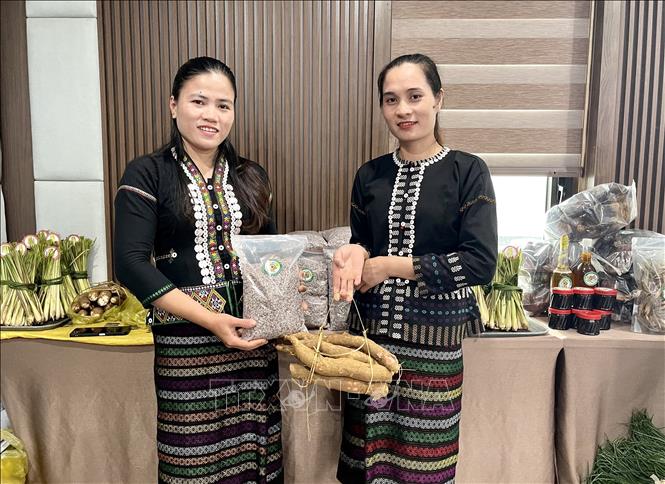 Phụ nữ vùng đồng bào dân tộc thiểu số trên địa bàn xã Kim Ngân, tỉnh Quảng Trị tự tin, từng bước trở thành người trực tiếp làm chủ mô hình kinh tế. Ảnh: Võ Dung - TTXVN