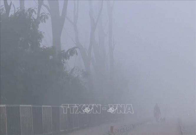 Sương mù ô nhiễm bao phủ dày đặc tại New Delhi, Ấn Độ, ngày 15/12/2025. Ảnh: ANI/TTXVN