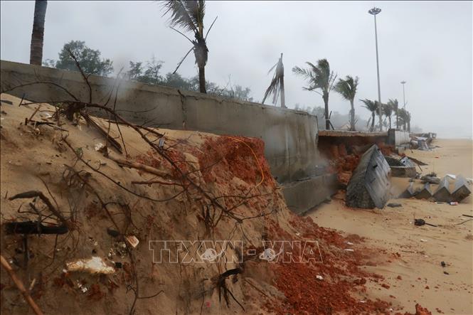 Các đợt mưa bão khiến tình trạng sạt lở ở bãi tắm cộng đồng Trung Giang diễn biến phức tạp. Ảnh: Tường Vi - TTXVN
