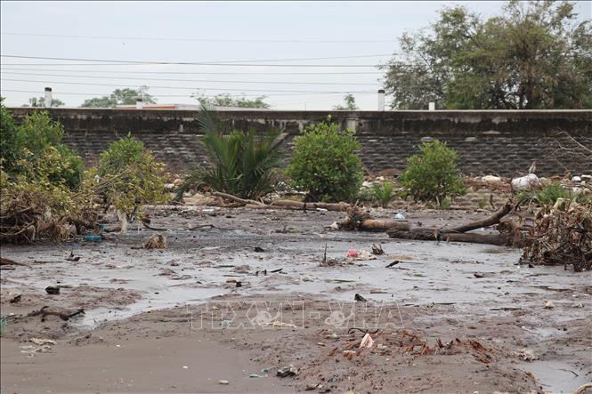 Tuyến đê biển bảo vệ gần 63.000ha đất tự nhiên cùng khoảng 600.000 hộ dân hiện bị đe dọa trực tiếp bởi sóng biển, sau khi đai rừng phòng hộ bị xói lở. Ảnh: Hữu Chí - TTXVN