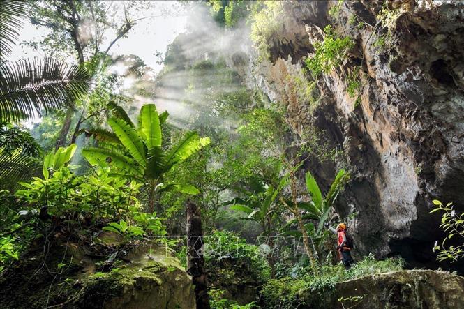 Entrance gate of Son Doong Cave. VNA/Photo by courtesy