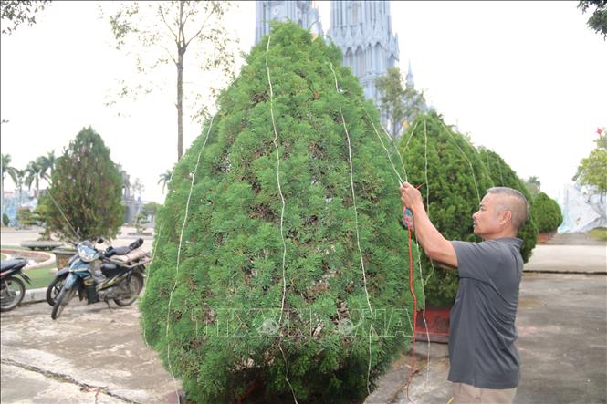 Người dân Giáo xứ Bác Trạch (xã Tây Tiền Hải, tỉnh Hưng Yên) trang trí đèn hoa chuẩn bị cho lễ Giáng sinh 2026. Ảnh: Thu Hoài - TTXVN