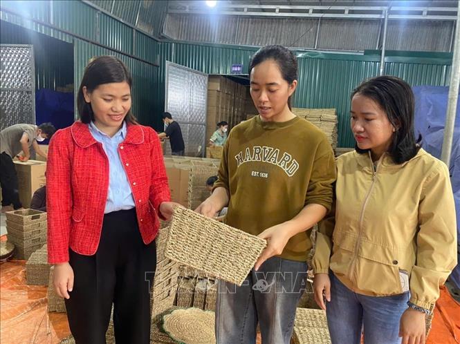 Mô hình kinh tế điển hình của đồng bào công giáo xã Hồ Vương, góp phần tiêu thụ nông sản và tạo công ăn việc làm cho nhiều lao động tại địa phương. Ảnh: Khiếu Tư-TTXVN
