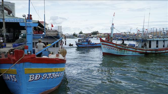 Tàu cá ra vào cảng cá Quy Nhơn. Ảnh: Đình Quân-TTXVN                                  