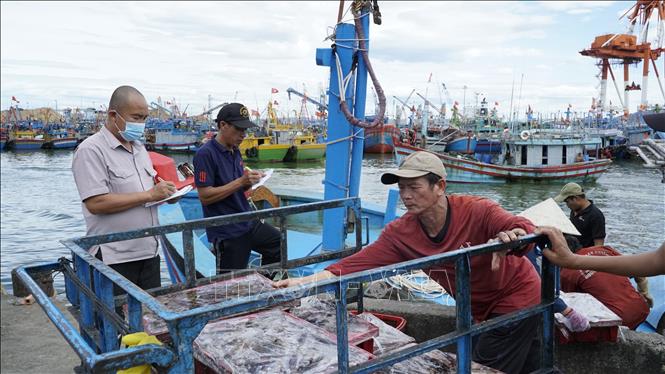 Giám sát thủy sản đánh bắt tại Cảng cá Quy Nhơn. Ảnh: Đình Quân-TTXVN                           
