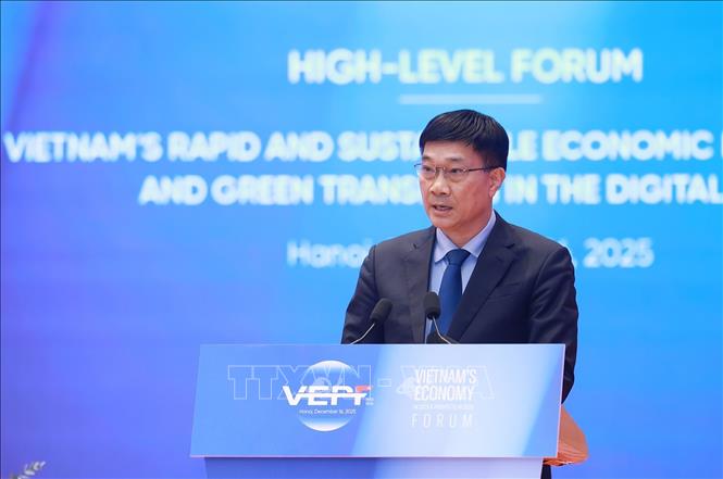 Phó Chủ tịch Quốc hội Vũ Hồng Thanh phát biểu. Ảnh: Dương Giang - TTXVN 
