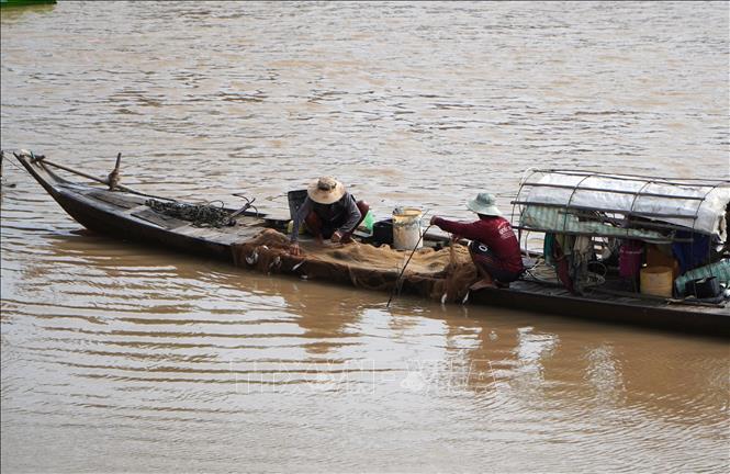 Người dân phường Thường Lạc (tỉnh Đồng Tháp) đánh bắt thủy sản trên sông Sở Thượng vào cuối mùa lũ. Ảnh: Nhựt An - TTXVN