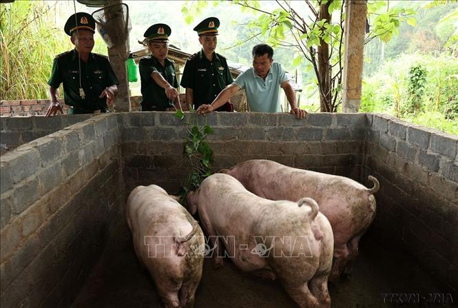 Bộ đội Biên phòng xã Na Mèo đi thăm và kiểm tra mô hình hỗ trợ chăn nuôi phát triển kinh tế tại hộ gia đình anh Lường Hoàng Điểm (dân tộc Thái), bản Son, xã Na Mèo, tỉnh Thanh Hóa. Ảnh: Vũ Sinh – TTXVN