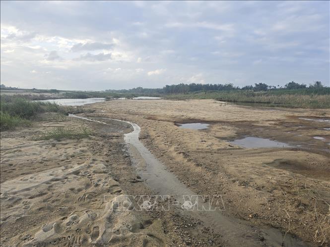 Diện tích đồng ruộng của người dân tại xã Gò Nổi (thành phố Đà Nẵng) bị cát vùi lấp với khối lượng ước tính hơn 557.000 mét khối. Ảnh: Khoa Chương - TTXVN