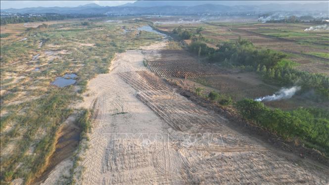 Diện tích đồng ruộng của người dân tại xã Gò Nổi (thành phố Đà Nẵng) bị cát vùi lấp với khối lượng ước tính hơn 557.000 mét khối. Ảnh: Khoa Chương - TTXVN