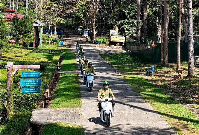 Cán bộ kiểm lâm chạy xe máy điện sau khi tiếp nhận. Ảnh: Hồng Đạt - TTXVN
