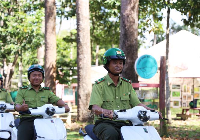Cán bộ kiểm lâm chạy xe máy điện sau khi tiếp nhận. Ảnh: Hồng Đạt - TTXVN
