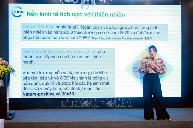 A delegate presents her research at the forum. VNA Photo: Tá Chuyên