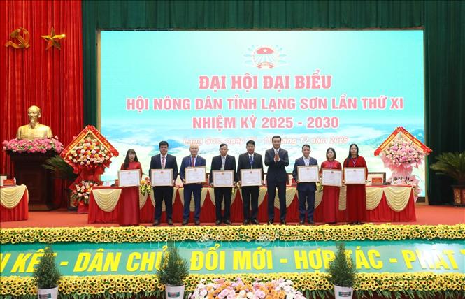 Tặng Bằng khen của Chủ tịch UBND tỉnh Lạng Sơn cho 8 cá nhân có thành tích xuất sắc trong công tác hội và phong trào nông dân giai đoạn 2023 - 2025. Ảnh: Anh Tuấn – TTXVN