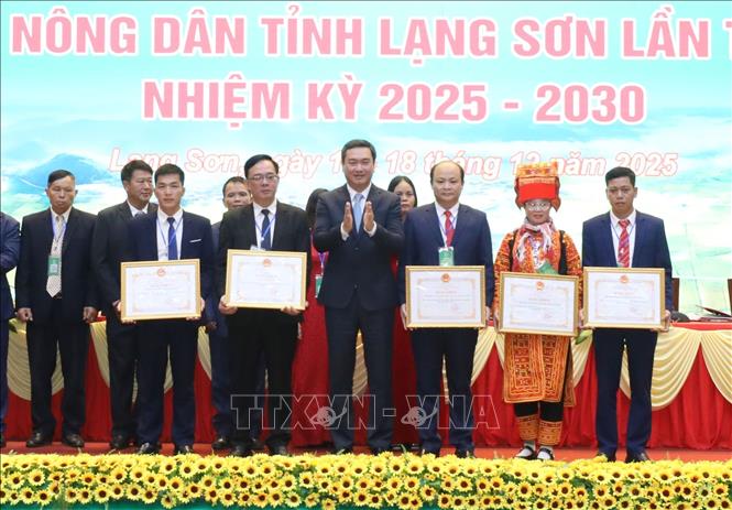 Tặng Bằng khen của Chủ tịch UBND tỉnh Lạng Sơn cho 5 tập thể có thành tích xuất sắc trong công tác hội và phong trào nông dân giai đoạn 2023 - 2025. Ảnh: Anh Tuấn - TTXVN