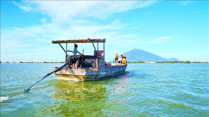 Cá giống các loại được thả xuống hồ Dầu Tiếng góp phần bảo tồn đa dạng sinh học và ổn định sinh kế cho người dân ven hồ.Ảnh: Minh Phú – TTXVN