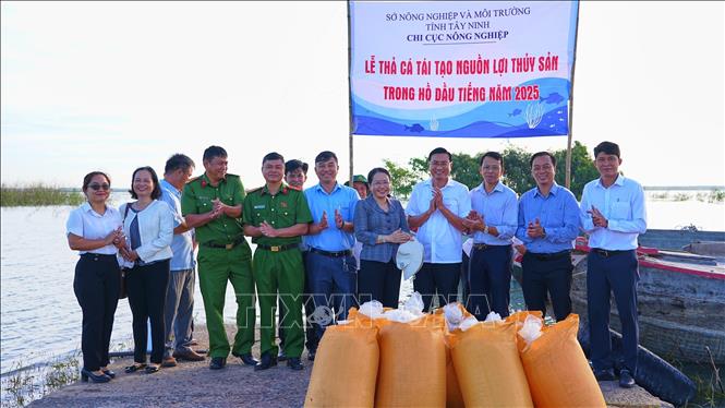 Lễ thả cá tái tạo nguồn lợi thủy sản tại hồ Dầu Tiếng (xã Dương Minh Châu, tỉnh Tây Ninh). Ảnh: Minh Phú – TTXVN