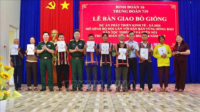 Trao bò giống cho các hộ gia đình thuộc diện cận nghèo và nghèo tại xã Đak Nhau và xã Bom Bo. Ảnh: Nhật Bình - TTXVN