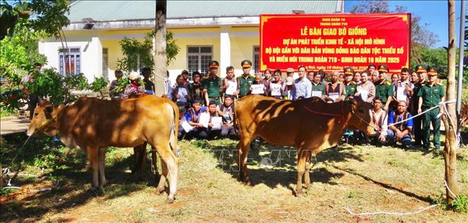 Mỗi hộ gia đình thuộc diện cận nghèo và nghèo tại xã Đak Nhau và xã Bom Bo được nhận 1 con bò giống của Trung đoàn 719 (Binh đoàn 16). Ảnh: Nhật Bình - TTXVN