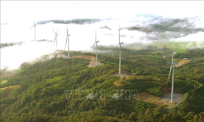 Đến cuối năm 2025, Quảng Trị đã có 22 dự án điện gió vận hành thương mại, với tổng công suất 1.024,2 MW. Ảnh: Nguyên Linh-TTXVN