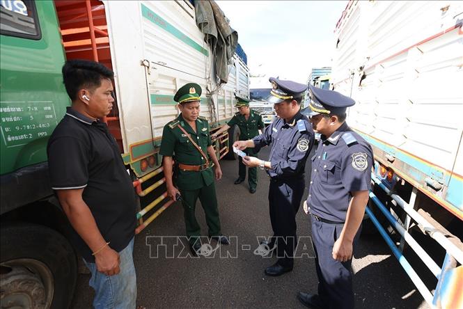 Lực lượng Hải quan phối hợp với Bộ đội Biên phòng kiểm tra phương tiện nhập cảnh qua cửa khẩu quốc tế Lệ Thanh, xã IA Dom, tỉnh Gia Lai. Ảnh: Vũ Sinh - TTXVN