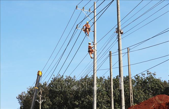 Cán bộ, công nhân điện lực Đồng Nai tiến hành di dời hơn 30 trụ điện phục vụ mở rộng tuyến đường ĐT.753./. Ảnh: Đậu Tất Thành – TTXVN.