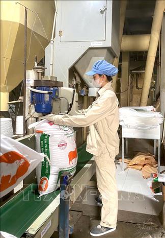Em Nguyễn Thị Thùy Trang là 1 hoàn cảnh mồ côi được quỹ 