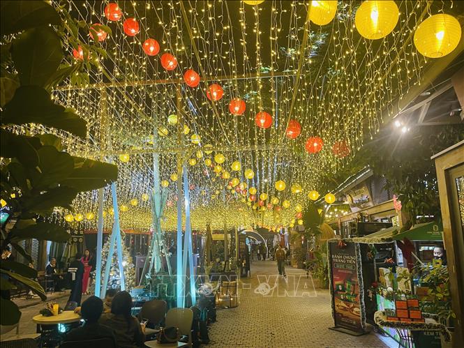 The Hanoi Book Street 19/12 on the programme launching day. VNA Photo: Tuyết Mai