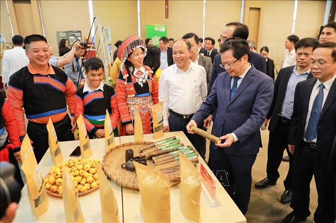 Các đại biểu tham quan gian hàng của các dự án. Ảnh: Khánh Hoà - TTXVN