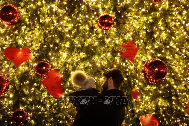 Cây thông được trang hoàng rực rỡ đón Giáng sinh tại Rome, Italy. Ảnh: THX/TTXVN