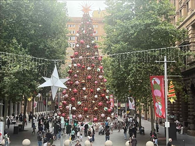 Cây thông lớn nhất bang New South Wales được đặt tại Quảng trường Martin Place ở trung tâm thành phố Sydney, được trang trí hơn 110.000 đèn LED, hàng trăm quả châu cùng ngôi sao 3,4m đổi màu. Ảnh: Thanh Tú – PV TTXVN tại Australia