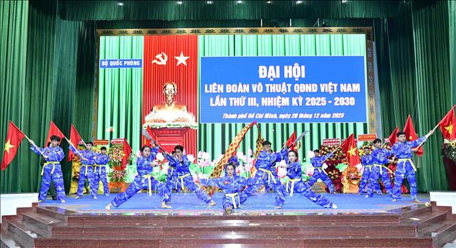 Chương trình biểu diễn võ thuật chào mừng Đại hội. Ảnh: Xuân Khu-TTXVN