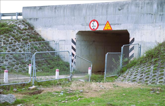 Những tấm lưới thép B40 của hành lang bảo vệ tuyến cao tốc tại khu vực cầu chui dân sinh đã bị tháo dỡ, biến dạng và bị hư hại nặng. Ảnh: Xuân Tiến - TTXVN 