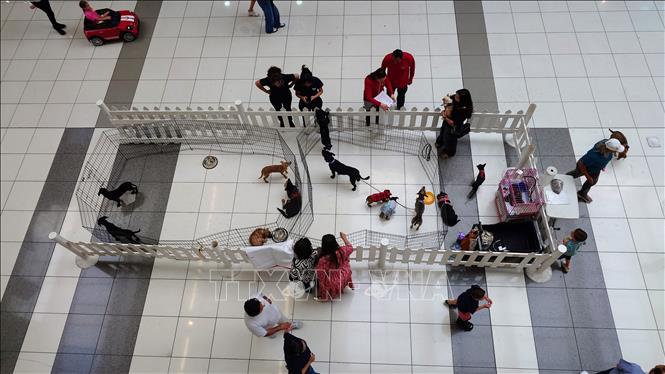 Khu vực nuôi nhốt chó 