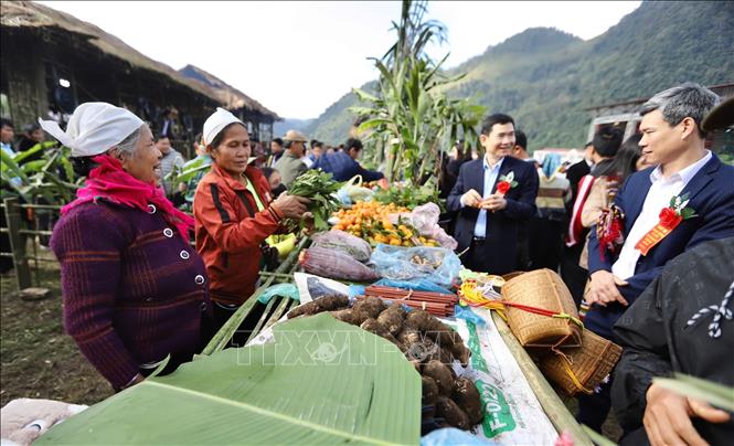 Du khách tham quan các gian hàng trong không gian ngày hội. Ảnh: Trọng Đạt-TTXVN