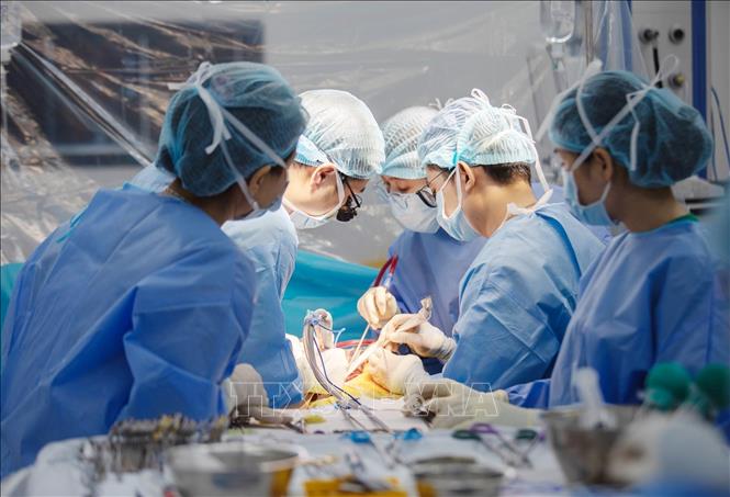 Các bác sĩ Bệnh viện Quân y 175 thực hiện ghép gan cấp cứu cứu sống bệnh nhân suy gan cấp hôn mê 4 ngày. Ảnh: TTXVN phát