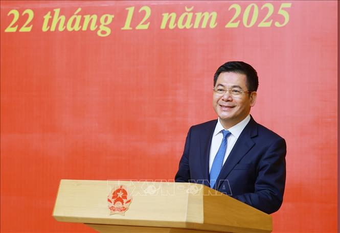 Đồng chí Nguyễn Hồng Diên, Ủy viên Trung ương Đảng, Phó Bí thư Chuyên trách Đảng uỷ Quốc hội, nguyên Bộ trưởng Bộ Công Thương phát biểu. Ảnh: Dương Giang - TTXVN
