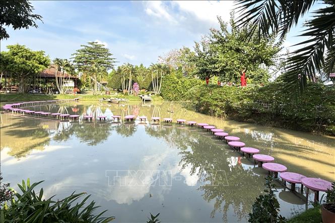 Cầu gỗ uốn lượn tạo điểm nhấn cho du khách check in khi tham quan Festival Hoa - Kiểng Sa Đéc. Ảnh: Hồng Nhung - TTXVN
