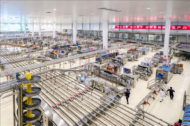 (Tư liệu) Quang cảnh nhà máy sản xuất sữa ở khu tự trị Nội Mông, Trung Quốc. Ảnh: THX/TTXVN