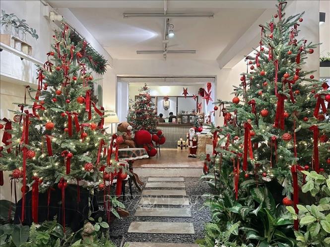 A café in Nhieu Loc Ward decorates various Christmas tree displays to welcome the 2025 Christmas season. Photo: Thu Huong – VNA