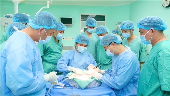 Các bác sĩ thực hiện ca ghép gan tại Bệnh viện Trung ương Huế. Ảnh: TTXVN phát