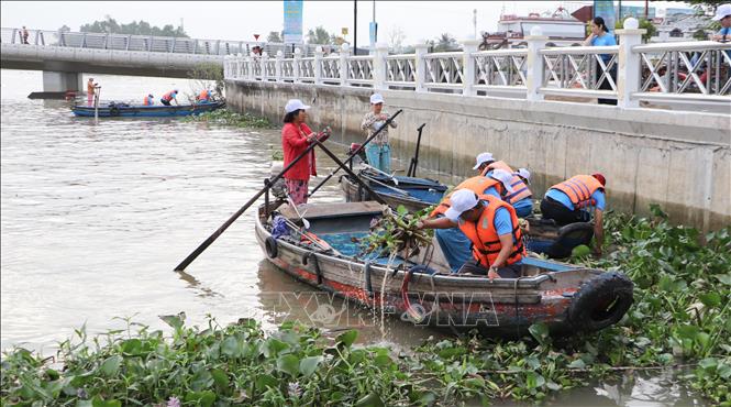 Các lực lượng, tình nguyện viên tham gia thu gom rác, lục bình trên rạch Khai Luông sau lễ phát động. Ảnh: Hồng Thái - TTXVN